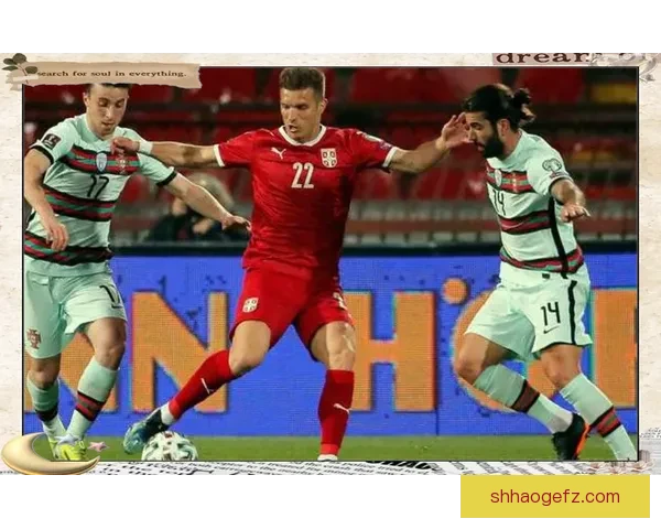 匈牙利对阵冰岛比分揭晓欧洲赛场激战结果全解析背后故事与战术亮点